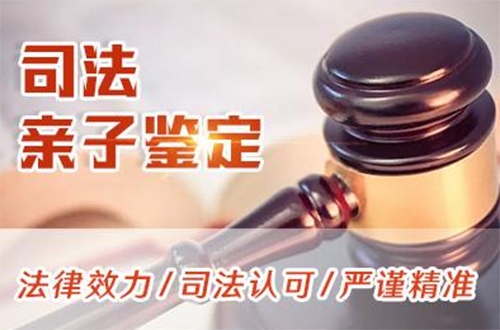 湖北权威司法DNA亲子鉴定机构哪里有,湖北司法亲子鉴定出结果时间