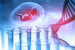 宁夏孕期亲子鉴定哪里能办理，宁夏怀孕亲子鉴定结果需要多久