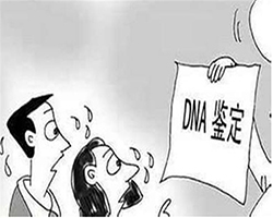 云南血缘检测机构收费标准，云南亲子鉴定机构的流程