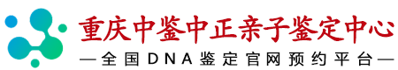 重庆中鉴中正鉴定