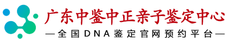 广东中鉴中正鉴定