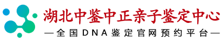 湖北中鉴中正鉴定